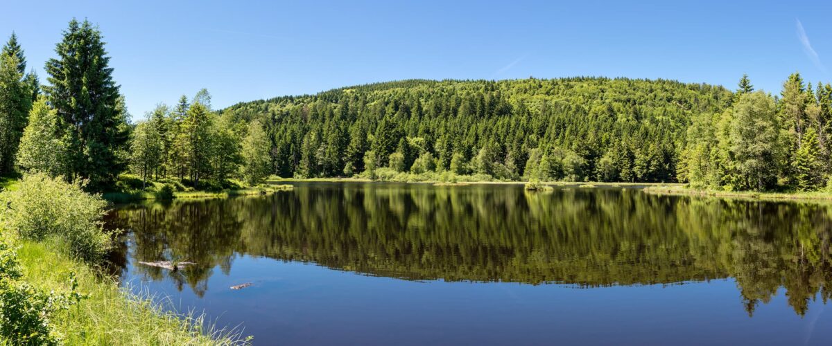 Chalet haut de gamme : tourisme et repos en famille à Le Saulcy vers Strasbourg et Colmar Châtenois 1